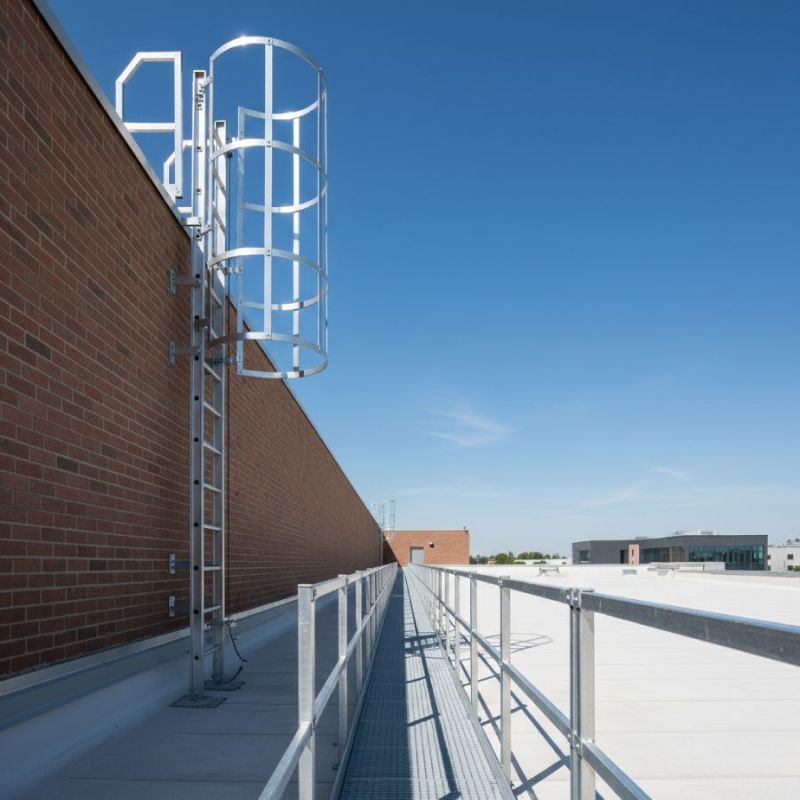 caged rung ladder and roof walkway installation on a commercial building in Singleton NSW
